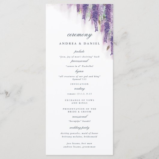 Wisterdromen Programma (Voorkant)