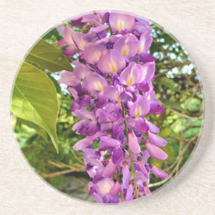 Wisteria Bloom Zandsteen Onderzetter