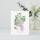 Wisteria Briefkaart (Staand voorkant)