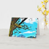 Wisteria, carte (Fleur jaune)