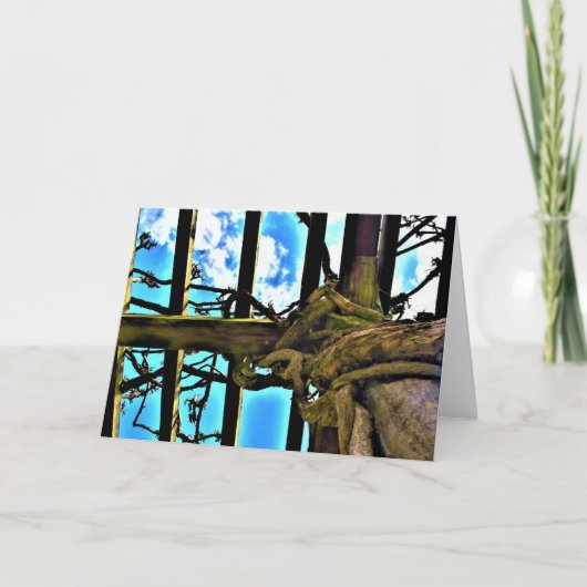 Wisteria, carte (Devant)