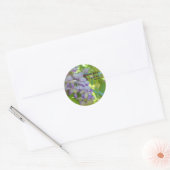 Wisteria Flower Attitude Quote Sticker (Envelop)