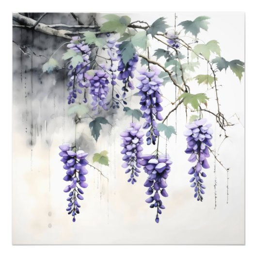 Wisteria Flowers Natuur Foto Afdruk (Voorkant)
