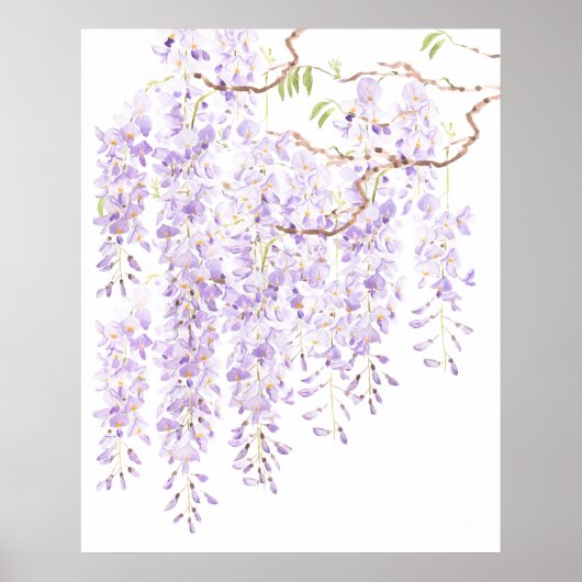 Wisteria in bloei 2023 poster (Voorkant)