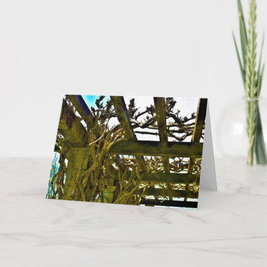 Wisteria, kaart (Voorkant)