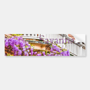 Wisteria op een Zuidelijk Huis in Savannah Bumpersticker