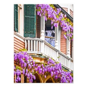 Wisteria op een Zuidelijk Huis in Savannah Foto Afdruk