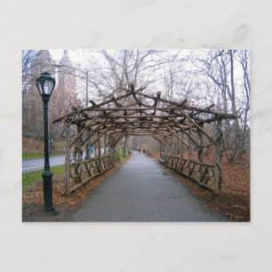 Wisteria Pergola New York City Central Park Briefkaart