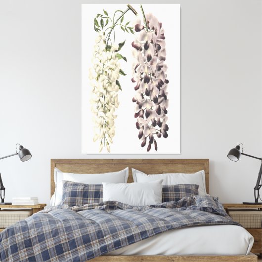 Wisteria Sinensis botanische kunst geïsoleerd op w Canvas Afdruk (Insitu (Slaapkamer))