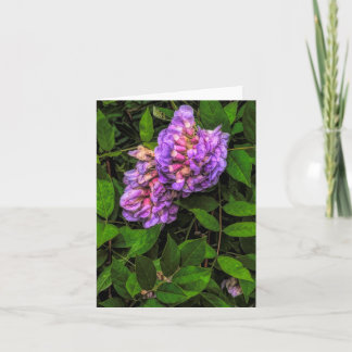 Wisteria @ Stenton House Museum & Garden Notitieka Bedankkaart