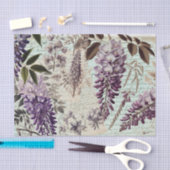 Wisteria Tissuepapier (Craft)