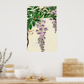 Wisteria Vine Blooms 1870 Poster (Keuken)