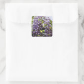 Wisteria Vine Sticker (Tas)