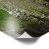 Wisteria Witte Tuin Bloemen Live Liefde Lach Foto Afdruk (Hoek)