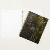 Wisterias en fleur - Composition florale (Devant avec enveloppe)