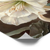 Wit Amaryllis Bloemenkunst Print Poster (Hoek)