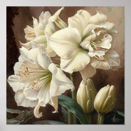 Wit Amaryllis Bloemenkunst Print Poster