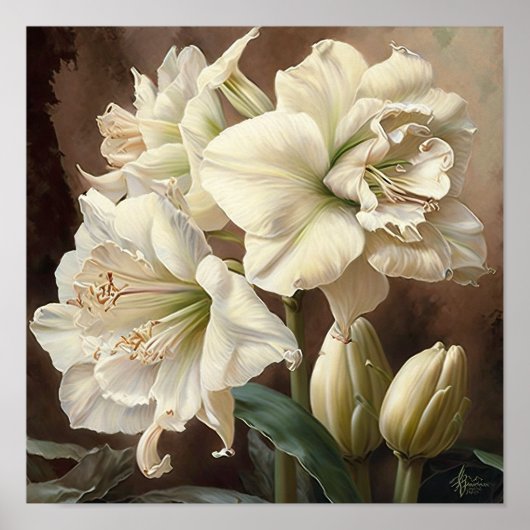 Wit Amaryllis Bloemenkunst Print Poster (Voorkant)