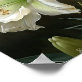 Wit Amaryllis Bloemenkunst Print Poster (Hoek)