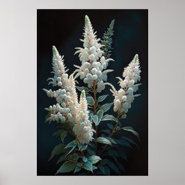 Wit Astilbe Bloem Art Print Poster