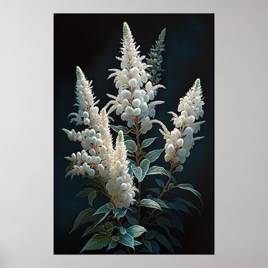 Wit Astilbe Bloem Art Print Poster (Voorkant)