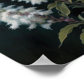 Wit Astilbe Bloem Art Print Poster (Hoek)