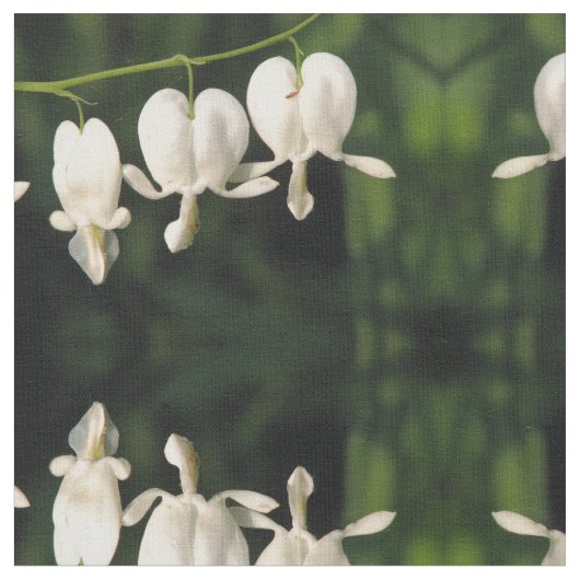 Wit bloeding Hartletsel Stof (Close Up)