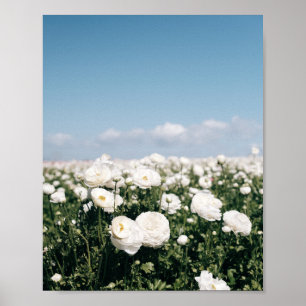 Wit bloemenveld - posterprint poster