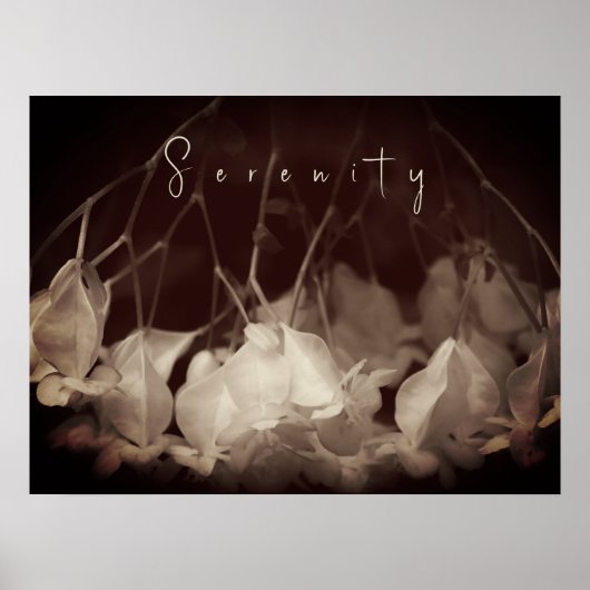  wit bloemig Poster (Voorkant)