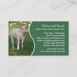 Wit charolais kalf met groen paneel visitekaartje