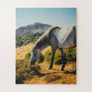 Wit en grijs grazen met zon omlaag legpuzzel