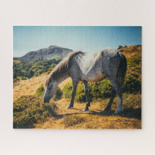Wit en grijs grazen met zon omlaag legpuzzel