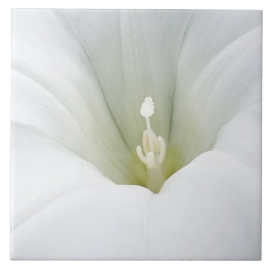 wit en grijze tinten tegeltje (Voorkant)