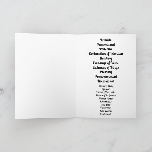 Wit en Zilver Kant en Parels op Satijn Programma (Binnen)