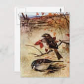 Wit-gekleurde Sparrows en de Bladeren van de Dalin Briefkaart (Voorkant / Achterkant)