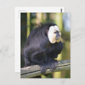 Wit-gelaagde saki op briefkaart (Voorkant / Achterkant)