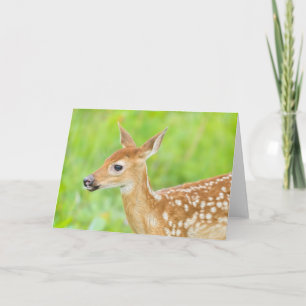 Wit-getrapt deer Fawn   Minnesota Kaart