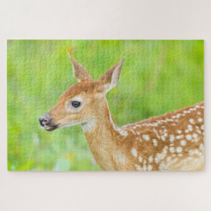 Wit-getrapt deer Fawn   Minnesota Legpuzzel
