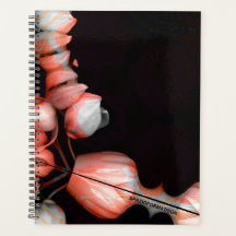 "Wit hart in zwart van de zon"