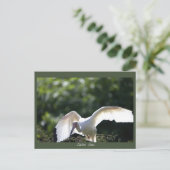 Wit Ibis Briefkaart (Staand voorkant)