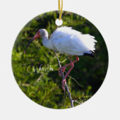 Wit Ibis Ornament (Voorkant)