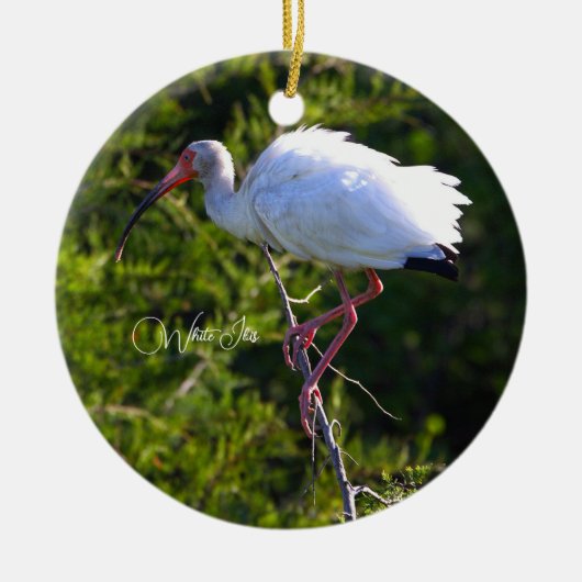 Wit Ibis Ornament (Voorkant)