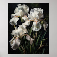 Wit Iris Flowers Art Print Poster