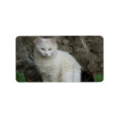 Wit kat-adreslabel etiket (Voorkant)