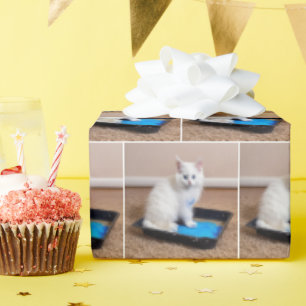 Wit katje in blauwe verf cadeaupapier