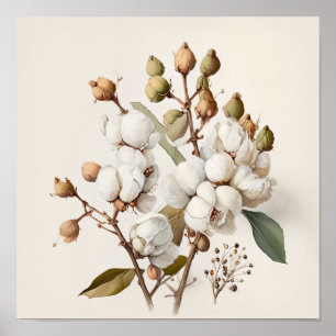 Wit Katoenen Bloemen Art Print Poster