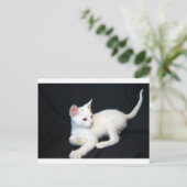Wit kattenspel briefkaart (Staand voorkant)