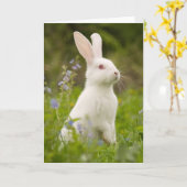 Wit Konijn Kaart (Gele Bloem)