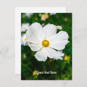 Wit Kosmos Briefkaart (Voorkant / Achterkant)