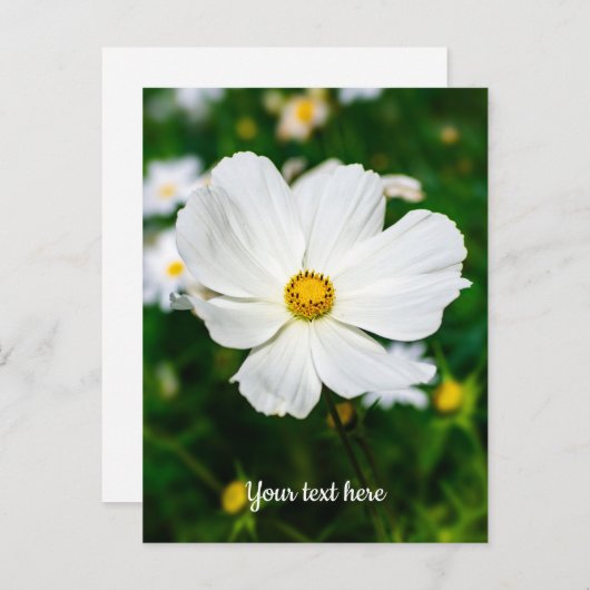 Wit Kosmos Briefkaart (Voorkant / Achterkant)